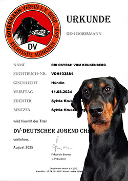 Ori Osyrah vom Krukenberg